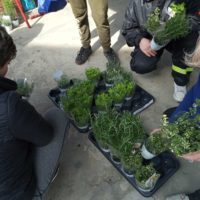 Akcja sprzątania w naszej gminie połączona z grą terenową