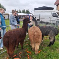 Rozpoczęcie lata w Przegini