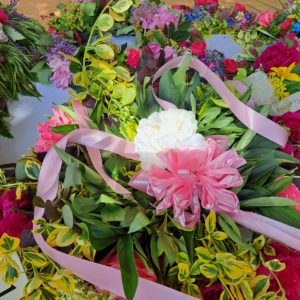 508500078_1216068870312658_5749290758299277880_n