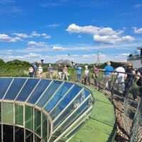 Seniorzy z Gminy Jerzmanowice-Przeginia zwiedzili Warszawę