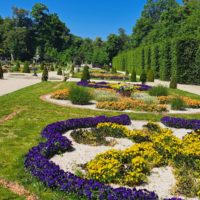 Seniorzy z Gminy Jerzmanowice-Przeginia zwiedzili Warszawę