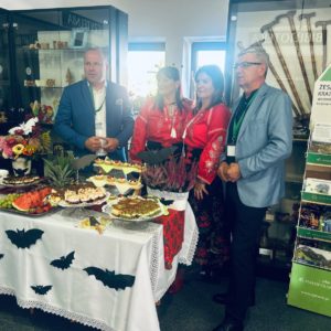 Nietoperze w centrum uwagi czyli 8. Festiwal Nietoperzy